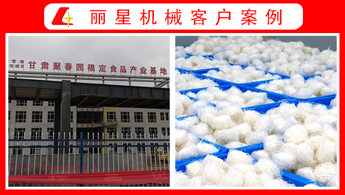 甘肅聚春園引進(jìn)麗星水晶粉絲生產(chǎn)線(xiàn)、酸辣粉加工設(shè)備正式投產(chǎn)