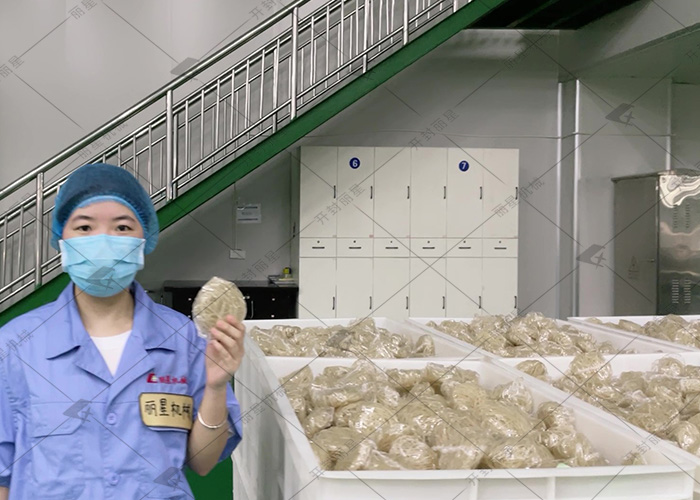 從原料到口感，讀懂方便粉絲與方便面的差異